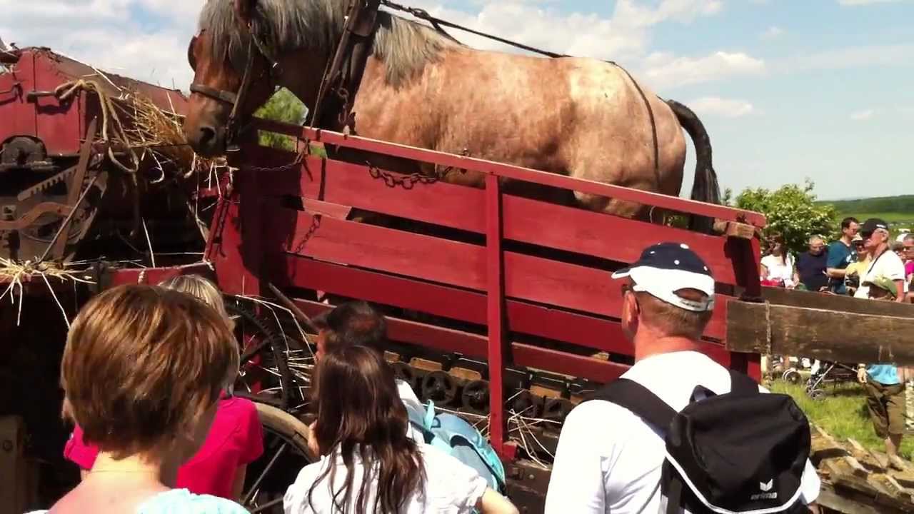 Vieux M&eacute;tiers Azannes 2012 01
