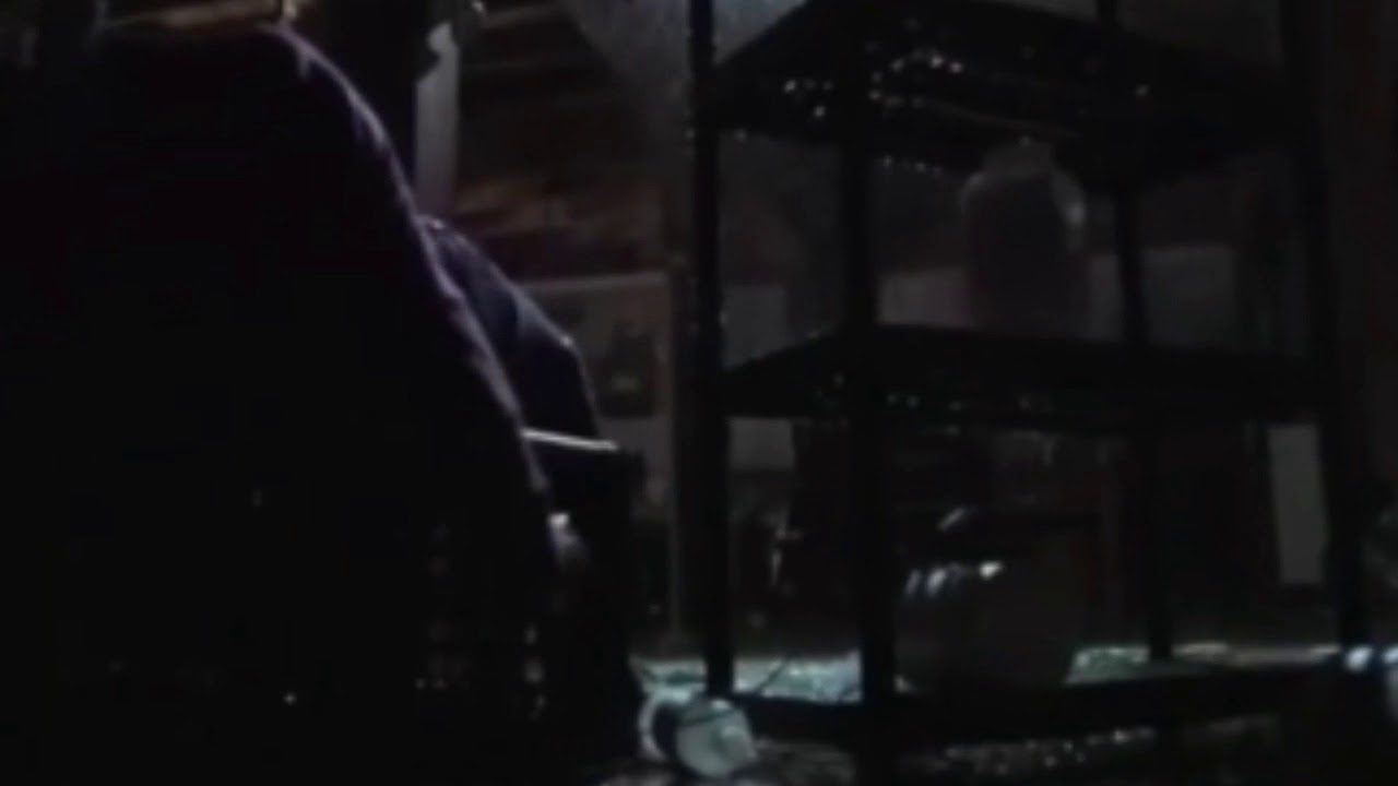 The flash -AMV remember we die