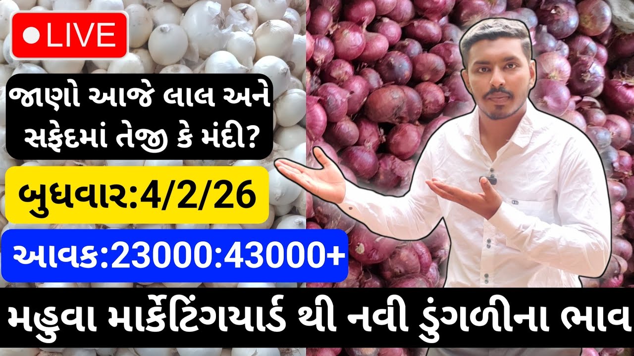 મહુવા થી લાલ અને સફેદડુંગળીના ભાવ🔥| 4/2/26 | White & Red Onion Market Rate Today💸| लाल ओर सफेद भाव🧅