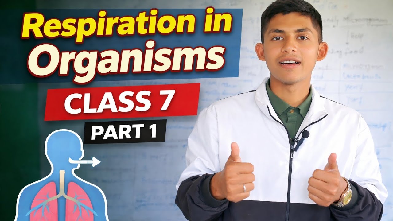 Respiration in Organisms Class 7 | Full Chapter Explanation Part 1 | Science