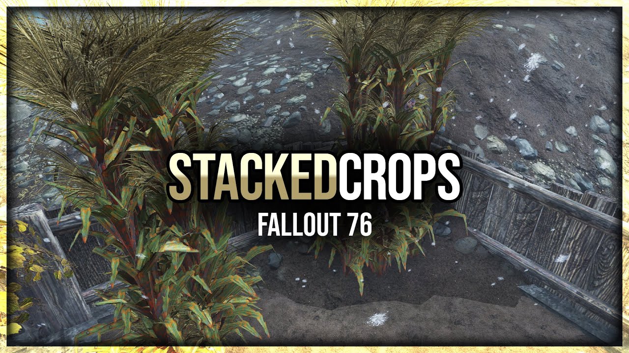 Fallout 76 — Сбор урожая