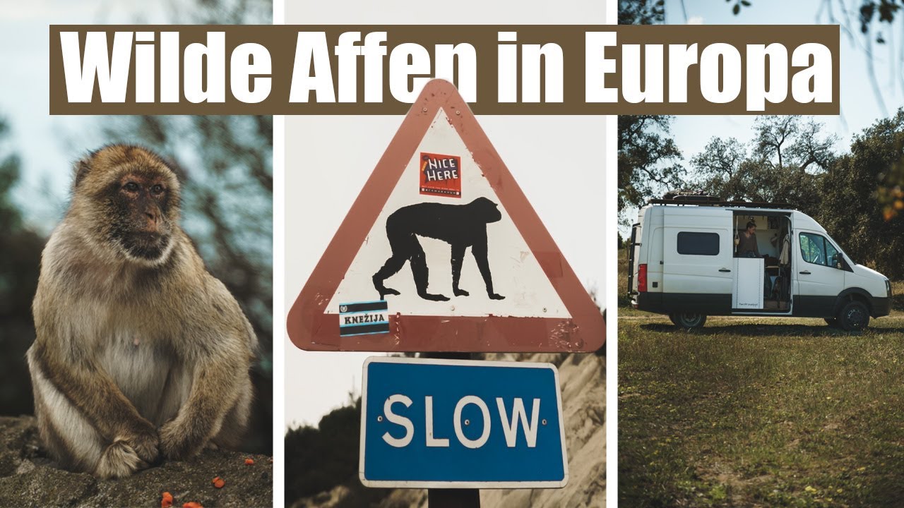 Mit dem VAN nach Gibraltar - Lohnt sich das?! | VANLIFE Spanien