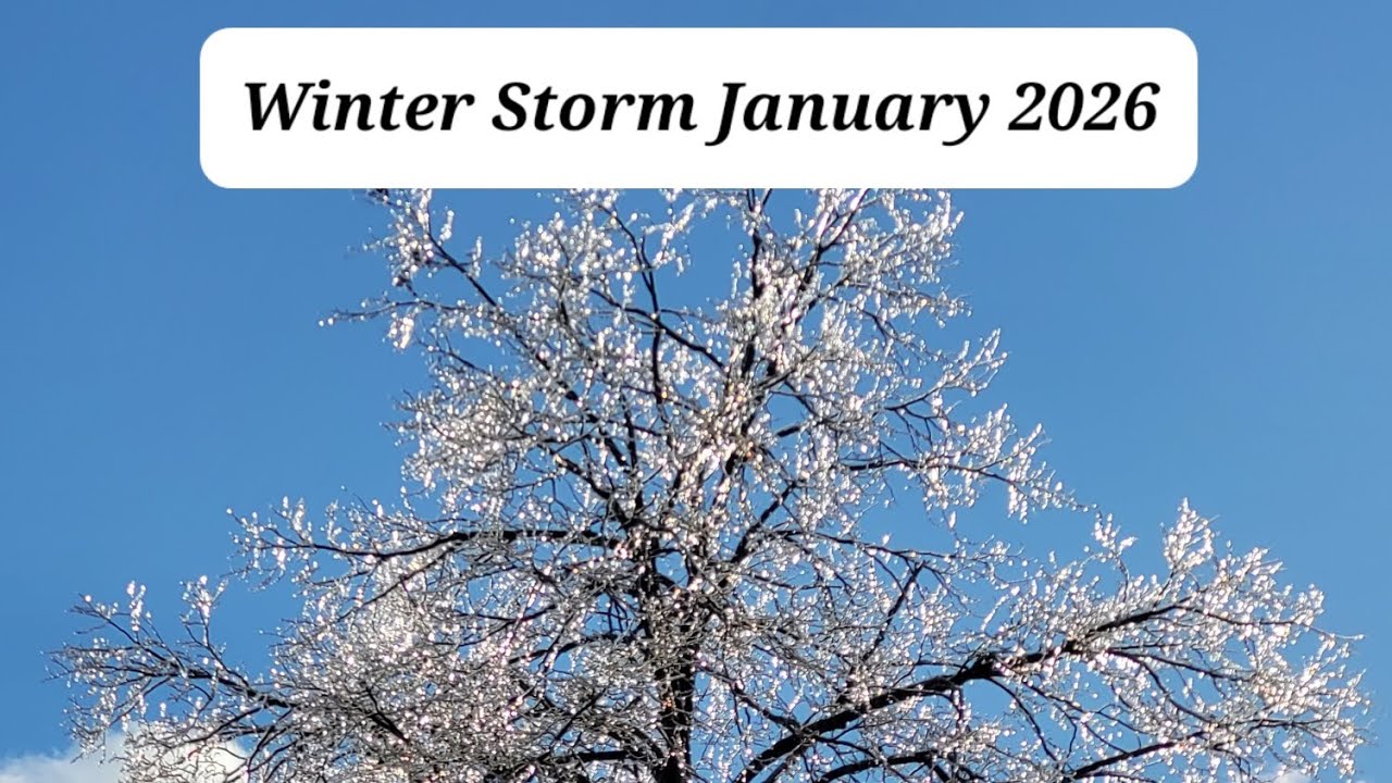 Winter Storm January 2026 in Kentucky 