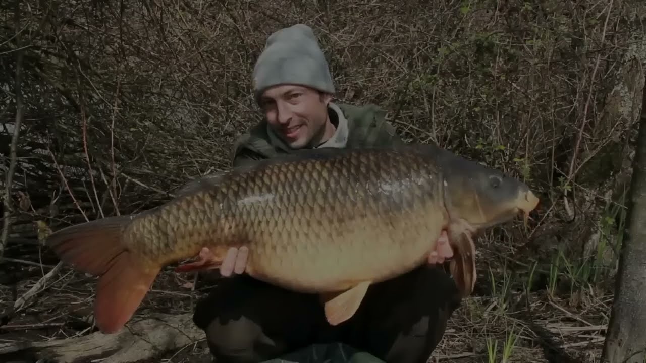 La Grande Bellezza del Carpfishing