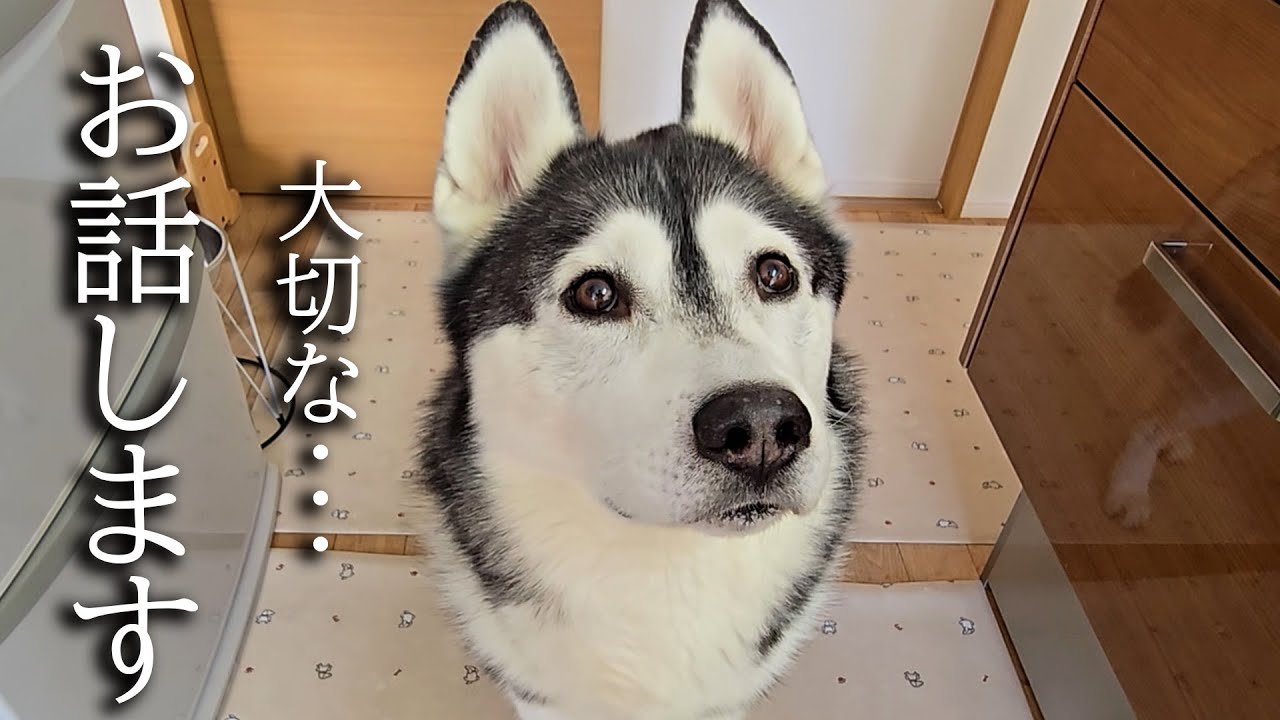みなさまにお伝えしたいことがあります...