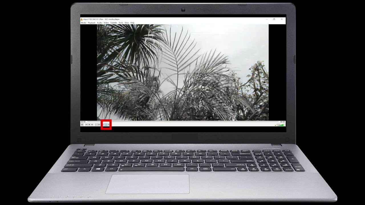 parrot training streaming from SCUSA