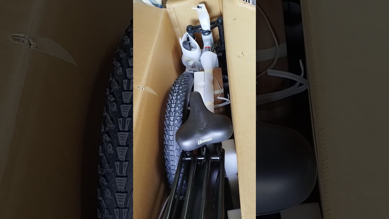 shengmilo s 600 Vorstellung