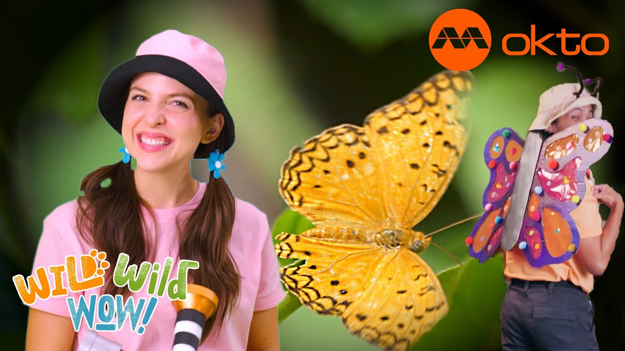 What is BORN as one animal but TURNS into ANOTHER after? | Wild Wild Wow S1E03C | @mediacorpokto