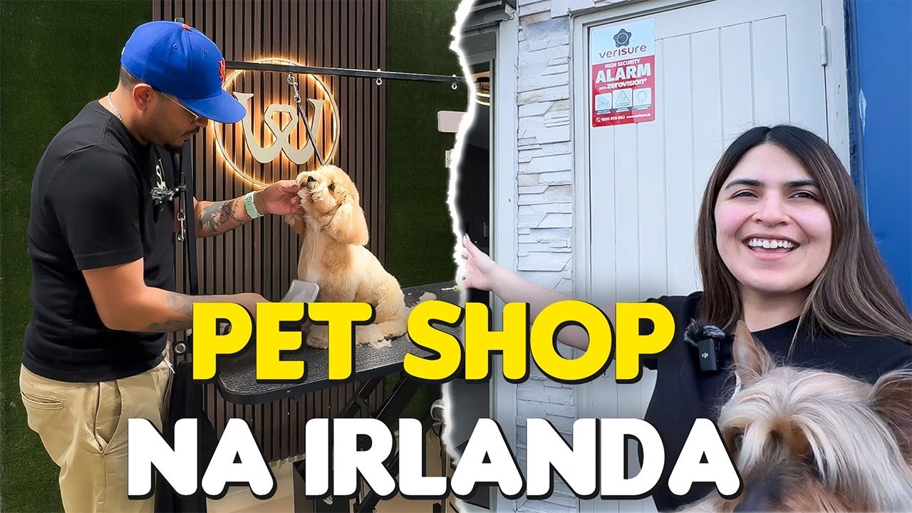 UM DIA DENTRO DE UM PET SHOP: Trabalhando com Pets na Irlanda