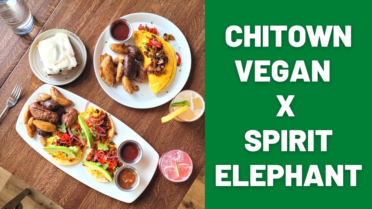 Spirit Elephant | Chitown Vegan In These Streets Ep. 3