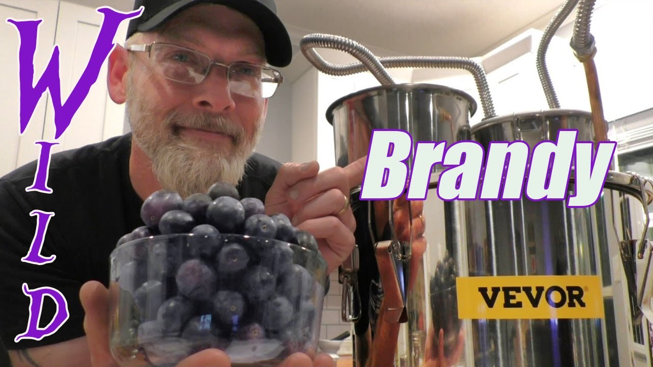 🍇Обзор виноградного бренди из дикого мускатного винограда + перегонного куба VEVOR!