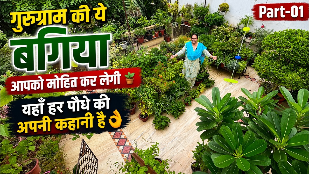 गुरुग्राम की ये बगिया आपको मोहित कर लेगी 🪴यहाँ हर पौधे की अपनी कहानी है 👌 Part-01