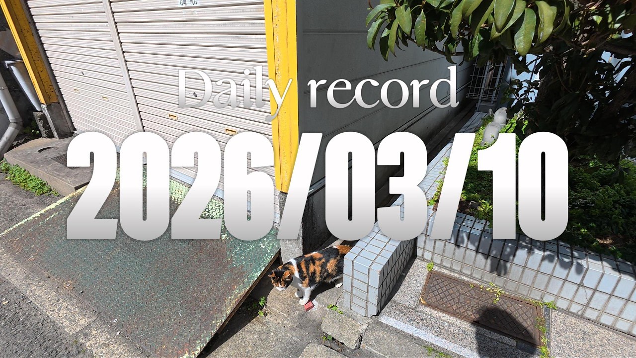【日記】2026年3月10日（火曜日）★散歩（和歌山市/ウォーキング/wakayama）【日常】