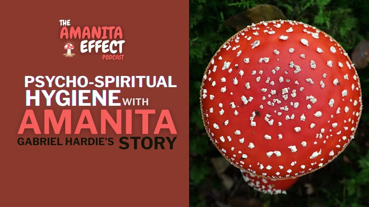 Universal Whispers and Psycho Spiritual Hygiene with Amanita