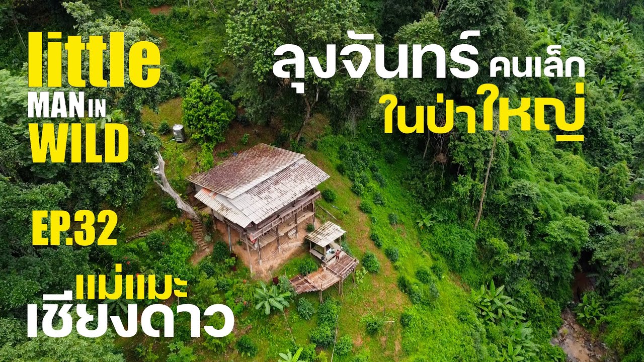 EP.32 ลุงจันทร์ คนเล็ก ในป่าใหญ่ ( little man in wild )#เชียงดาว #แม่แมะ