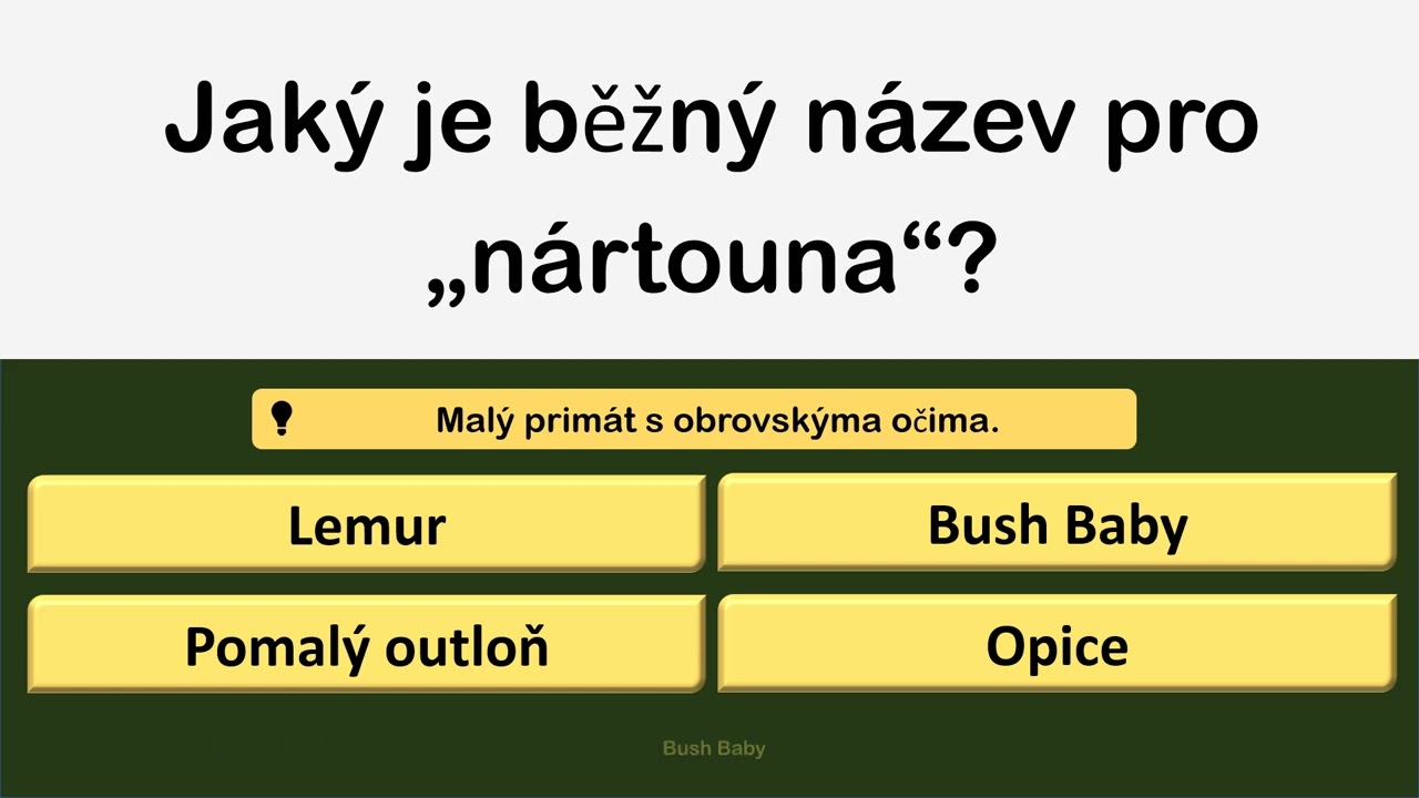 🤯 15 Otázek a Dost! Kvíz [Všeobecných Znalostí], Který Prověří, Jestli Jste GÉNIUS!