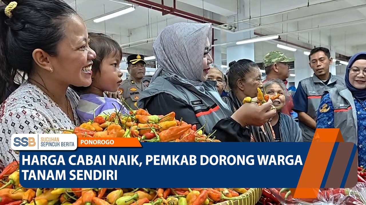 PONOROGO - Harga Cabai Naik, Pemkab Dorong Warga Tanam Sendiri