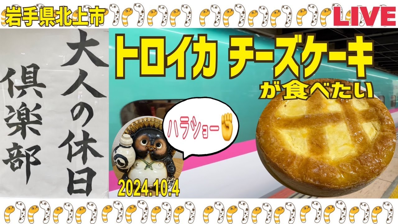 トロイカのチーズケーキが食べたい2024.10.4【山口かおり】#ライブ#大人の休日倶楽部パス#旅