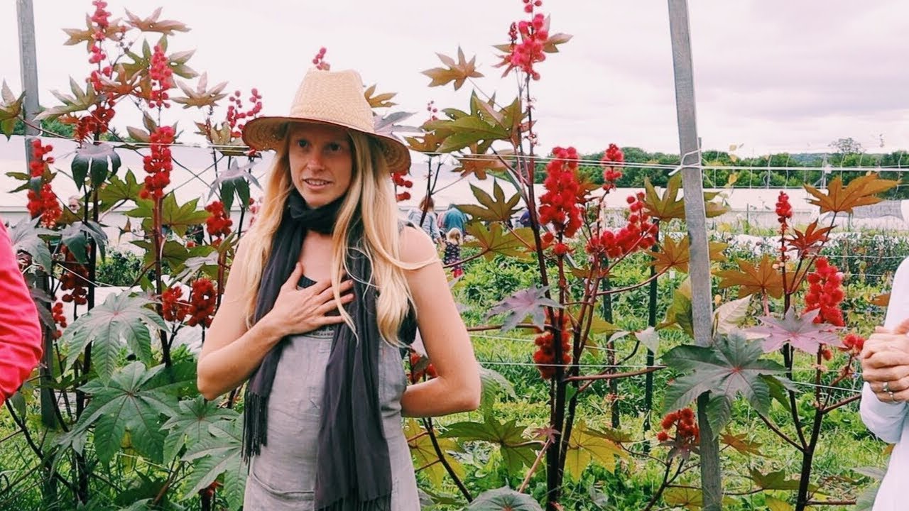 The Best Seed Company You've Never Heard of