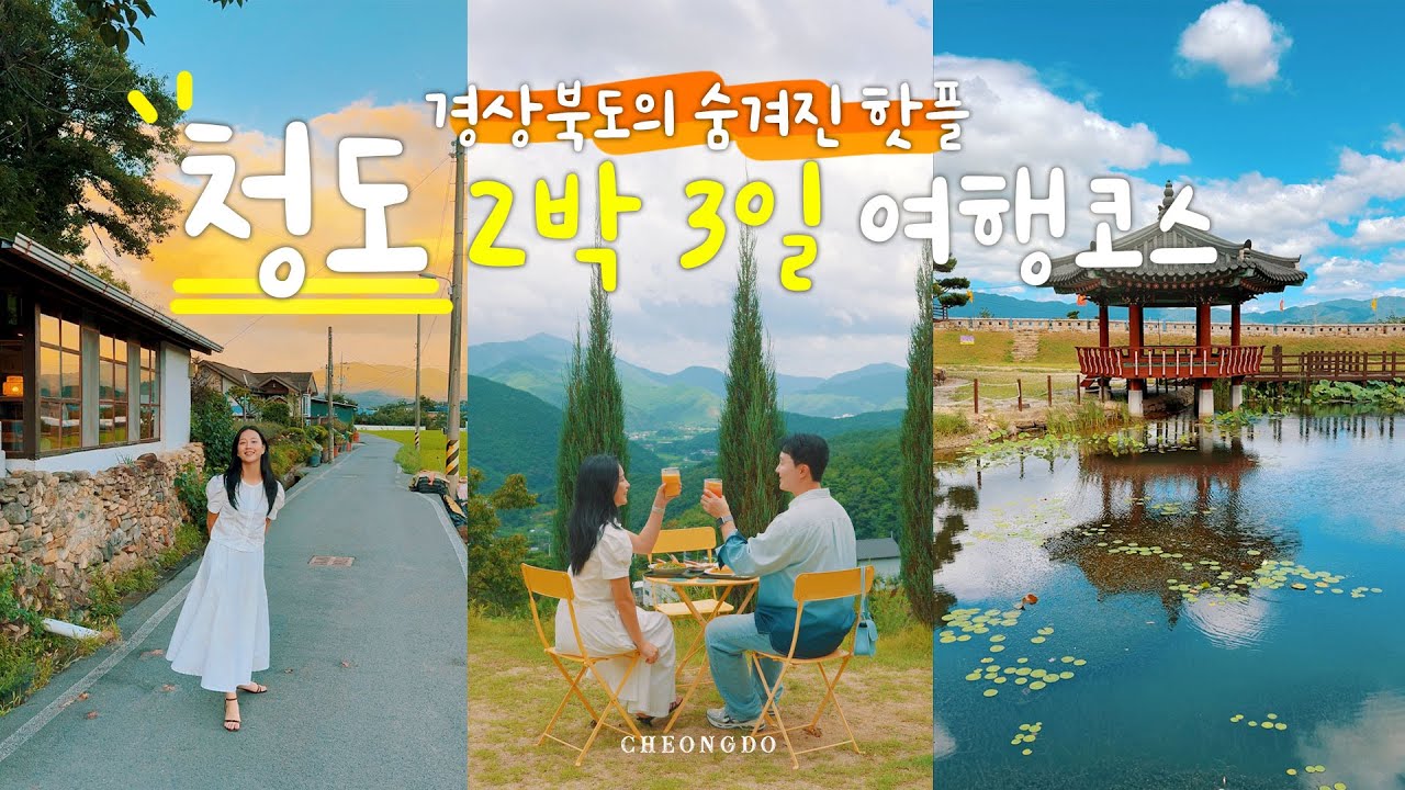 감성 쏟아부은 경상북도 청도 여행 브이로그🍊 가을에 국내여행 가볼만한곳 추천