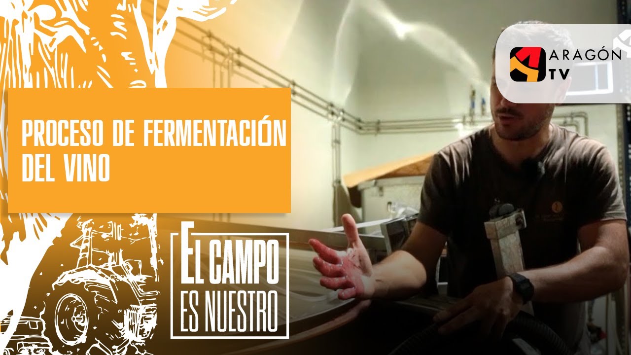 Proceso de fermentación del vino
