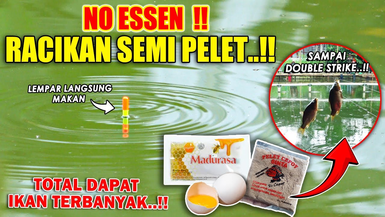 RACIKAN UMPAN TERBARU PELET SINTA !! TANPA PAKAI ESSEN BIKIN KURAS HABIS SEMUA JATAH IKAN ❗❗