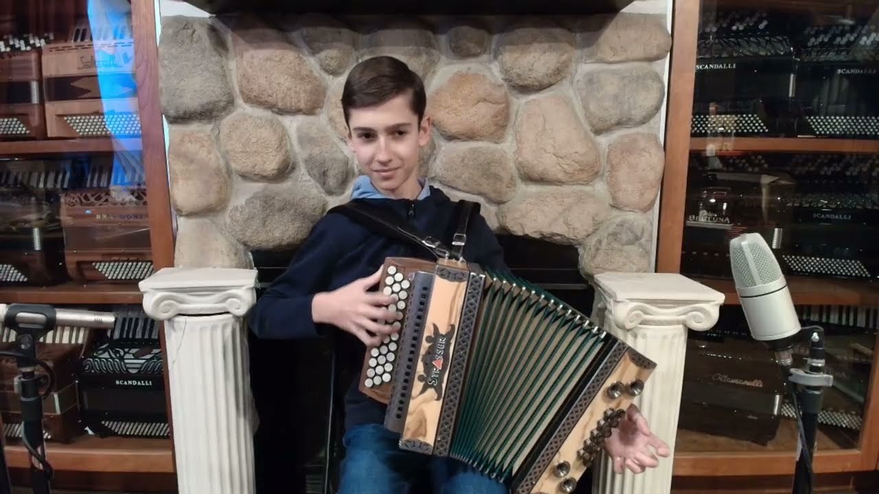 STRASCLNATOAG - Olive Ash Strasser Classic Nature Steirische Button Accordion GCF MM 33 11 $3999