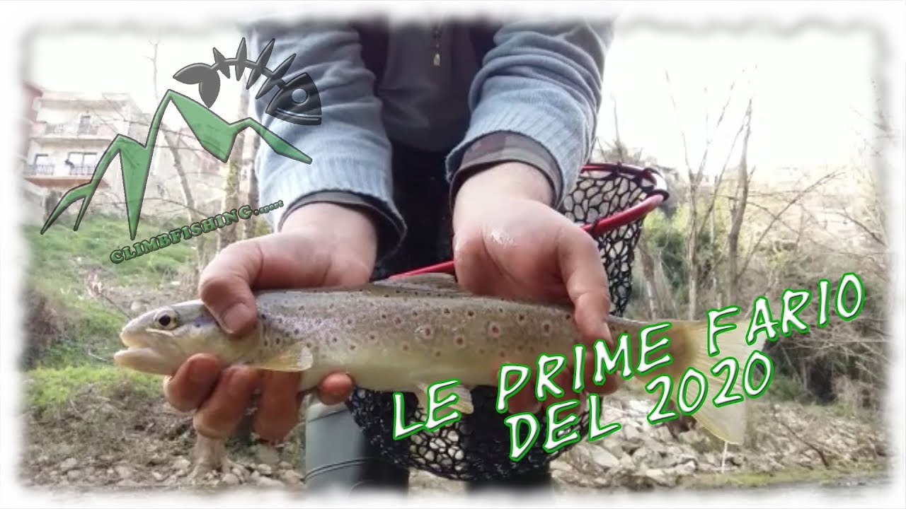 Le prime fario del 2020