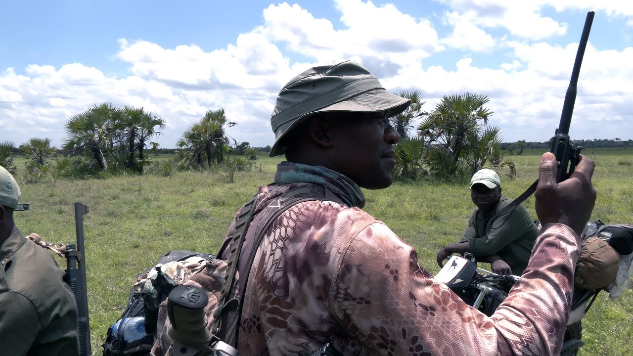 Using Technology to Combat Poaching