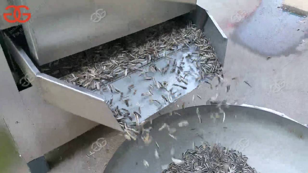 Sunflower Seeds Processing Machine|Melon Seed Cleaning Machine