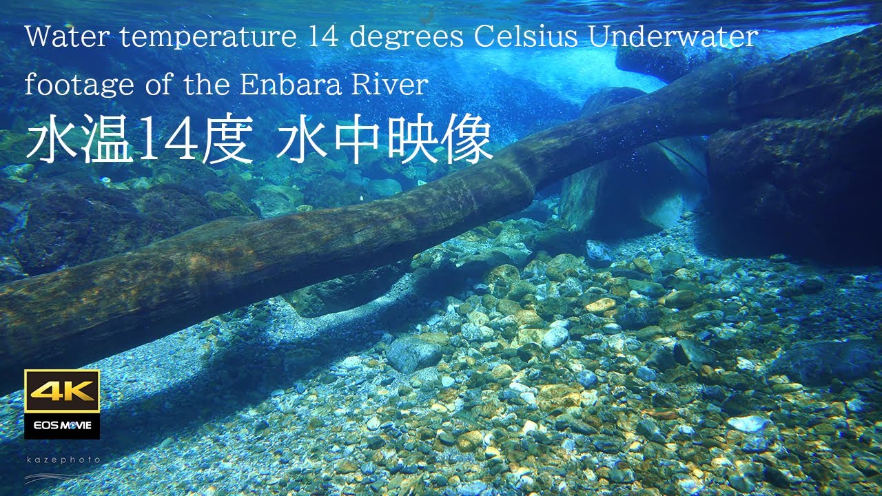 4K  自然環境音　円原川  癒しの水中映像＋水中音　Healing underwater footage