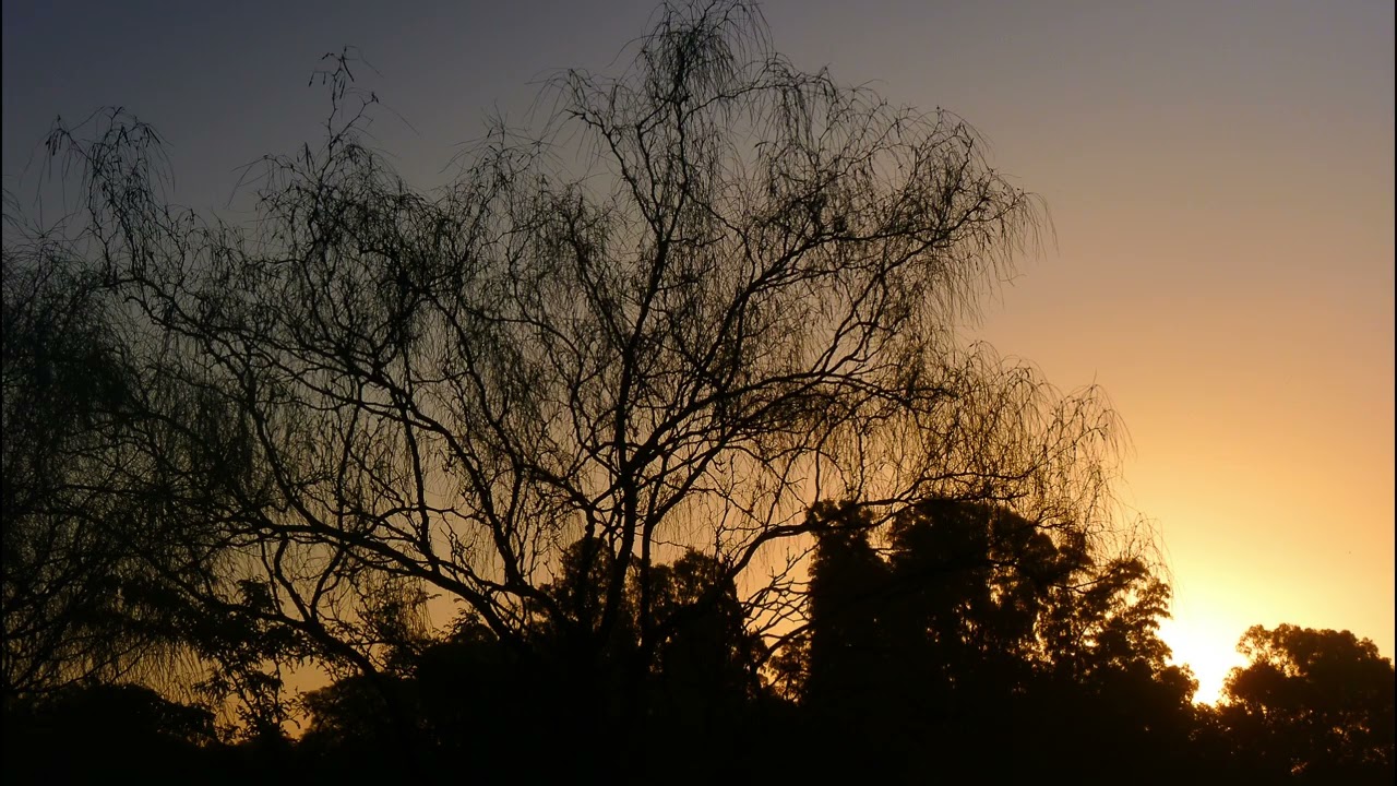 Amanecer ♫  - Lean Costa