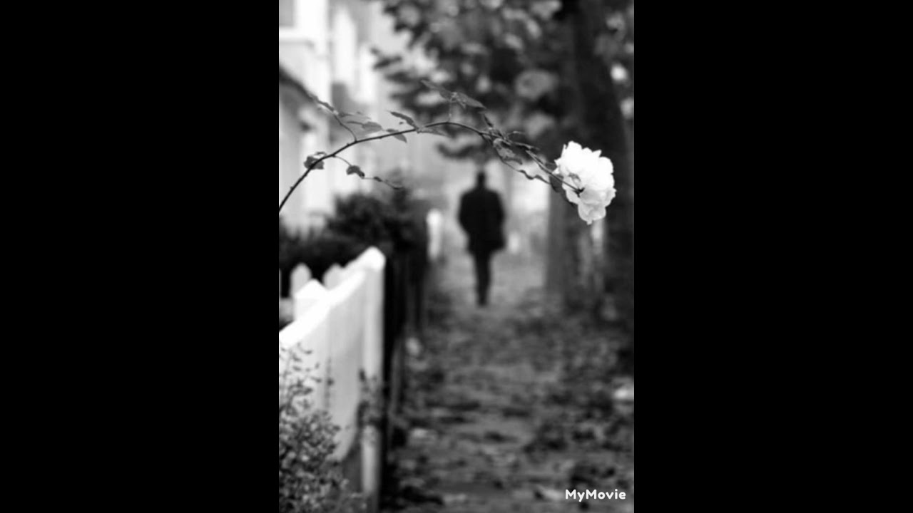Zephyrus - Serenity (Original Mix)