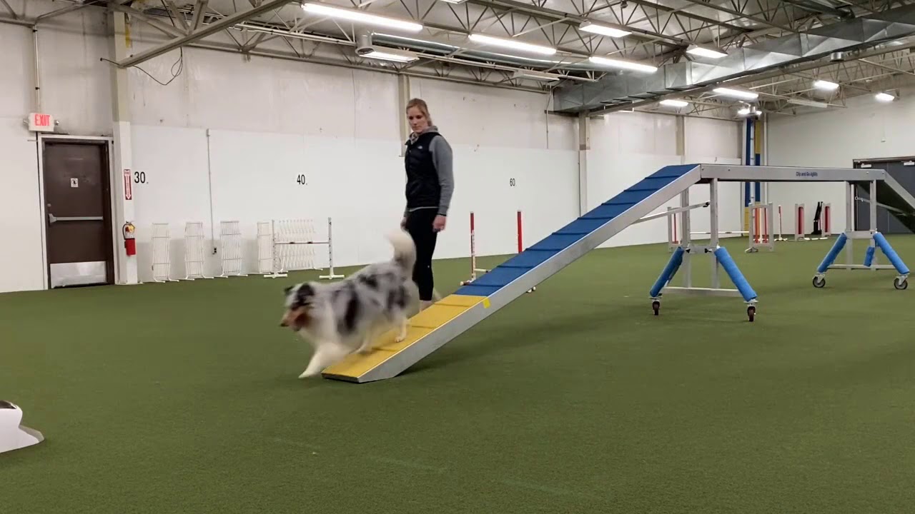 Demos from Small Space Training - April 1st, 2020 (Treat and Train)