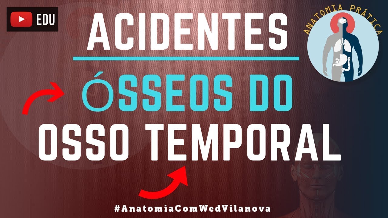 Osso Temporal ACIDENTES ÓSSEOS! Quais são❗❓DESCUBRA AQUI❗ [Anatomia Prática]
