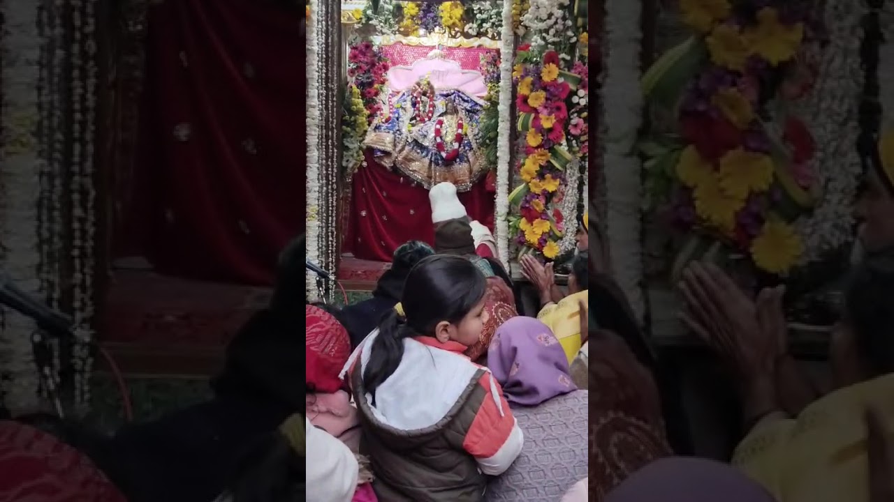 श्री हित गुरूदेव महाराज जी की जन्म बधाई उत्सव!!!(?श्री हित वन विहार कुंज)