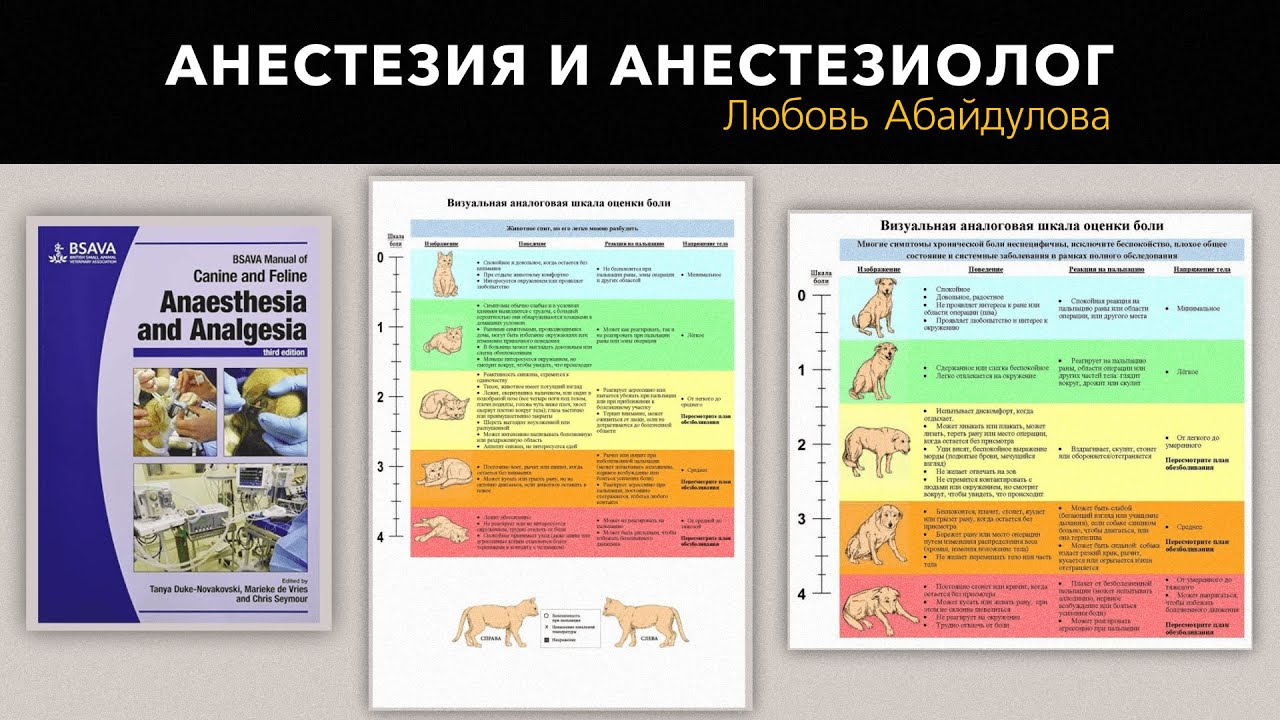 Анестезия и анестезиолог
