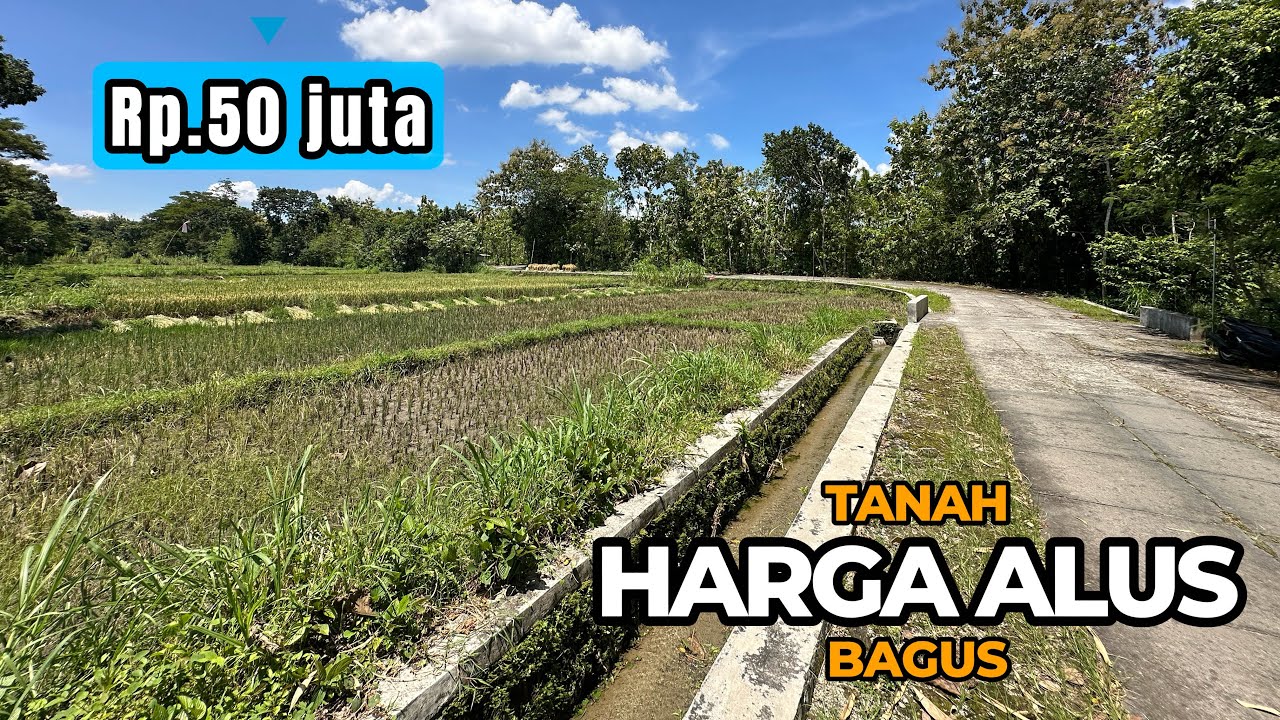 TERJUAL❌Tanah murah pemandangan sawah akses jalan lebar