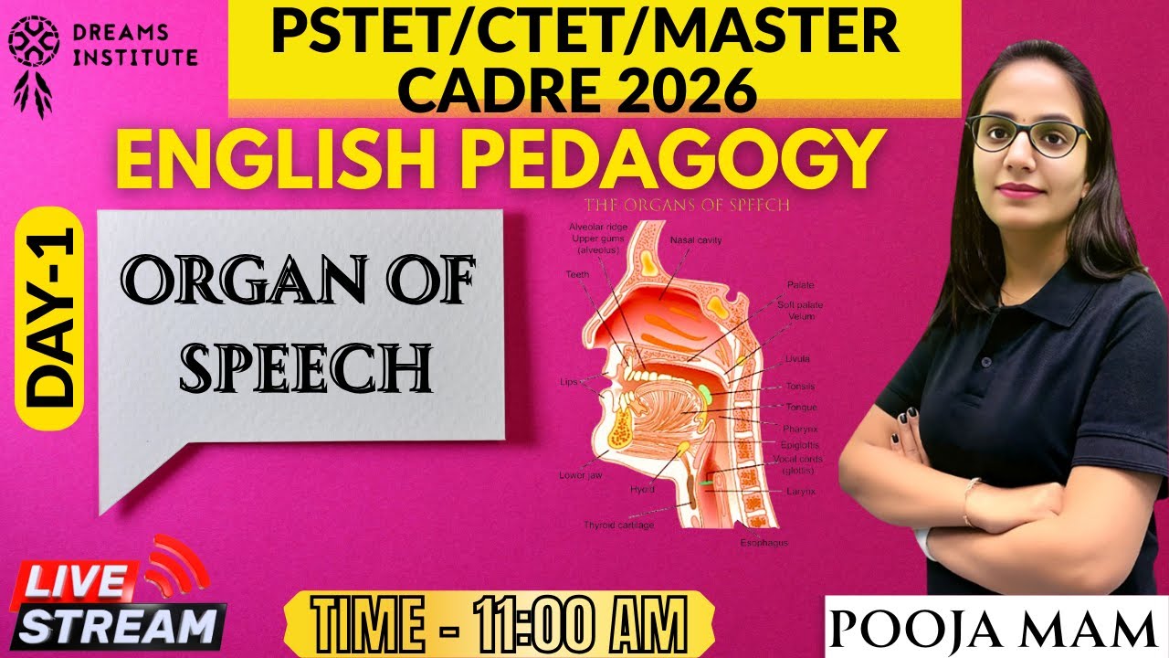 ENGLISH PEDAGOGY || PSTET 2026 || ORGAN OF SPEECH || DAY-1 || 11:00 AM || BY POOJA MAM