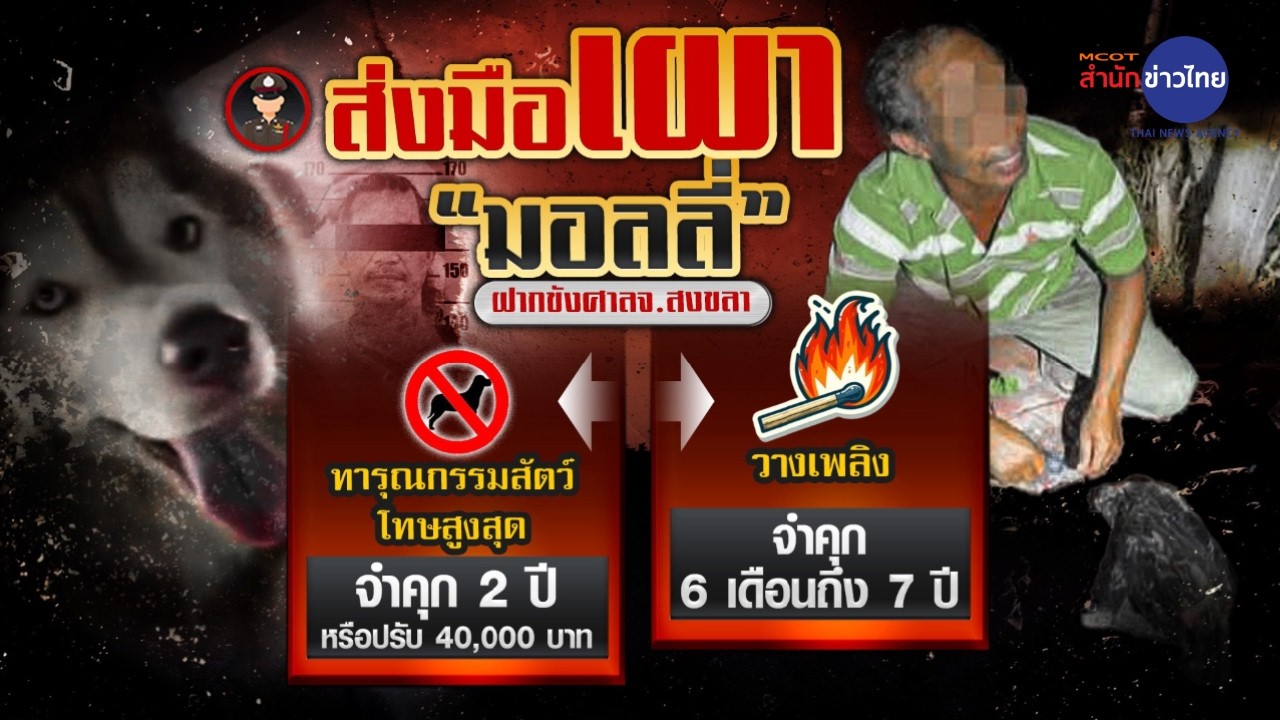 คุมตัวผู้ต้องหาเผา “มอลลี่” ฝากขัง สารภาพโมโหกัดไก่ตัวโปรด