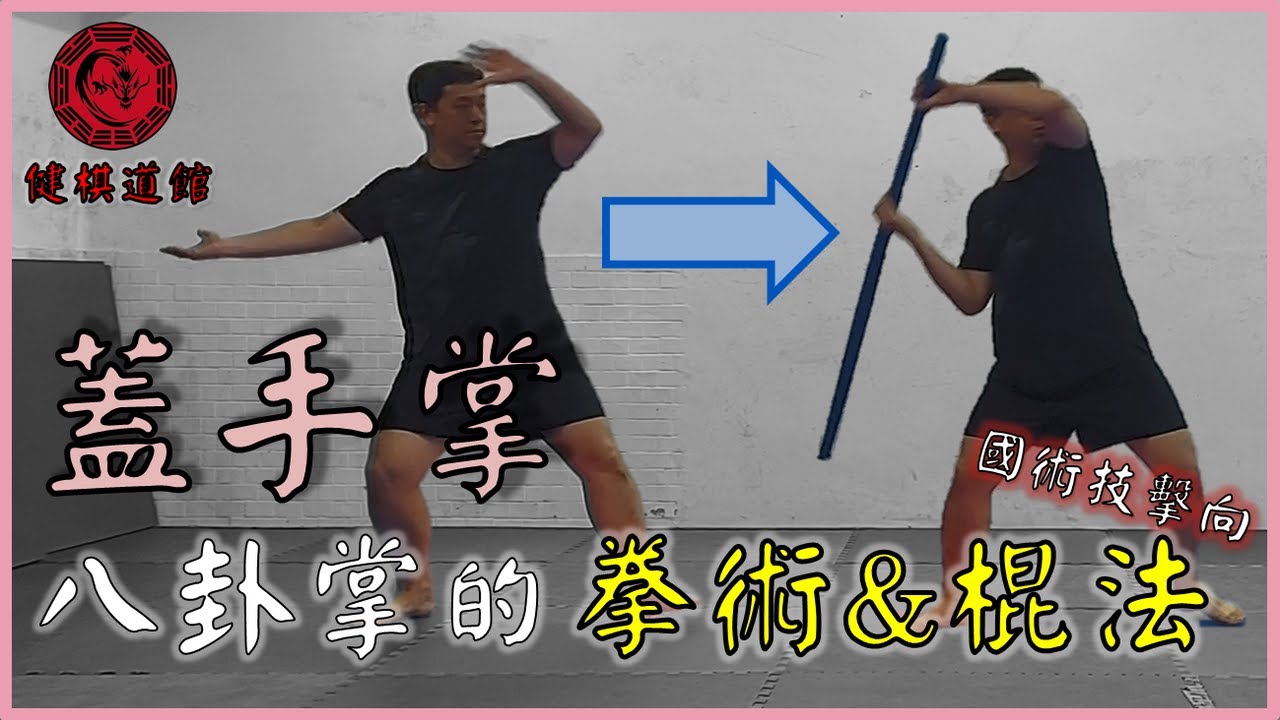 大動作等於大破綻? 蓋手掌的各種用法，拳術和兵器通通有! Application of BaGuaZhang includes boxing & weapons│【武術概念講堂】形意拳八卦掌│健棋道館