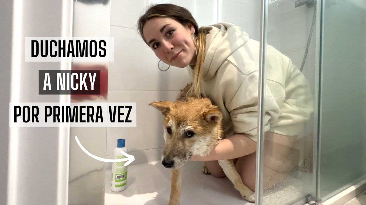 La primera ducha de Nicky🐶🚿 se pone rebelde