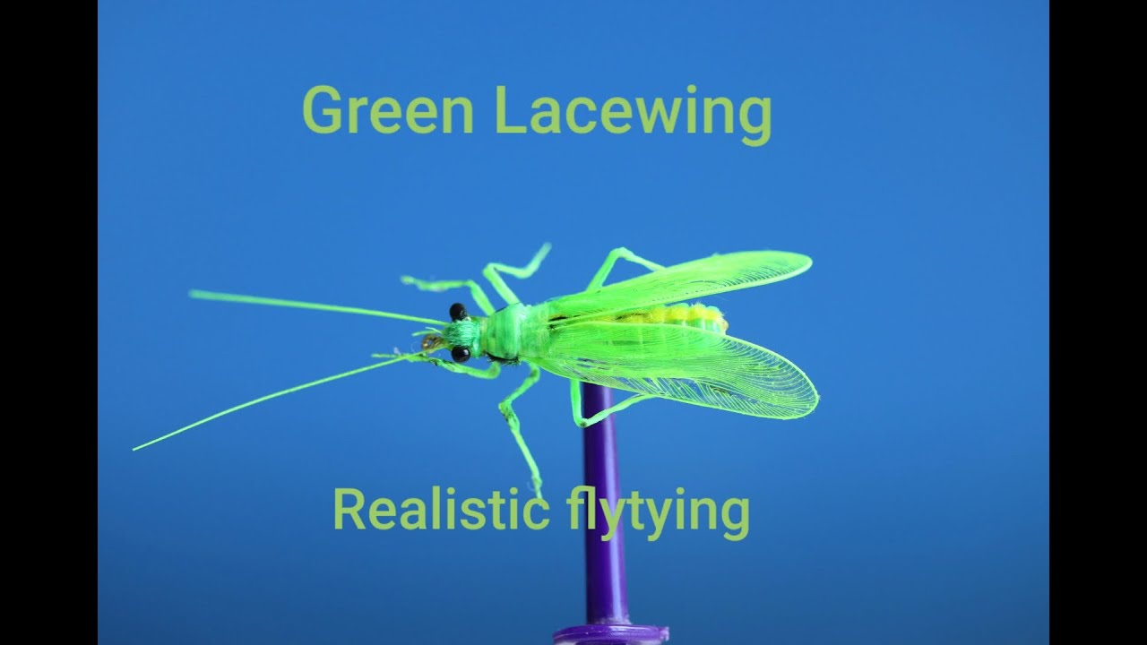 Green insectes for fishing