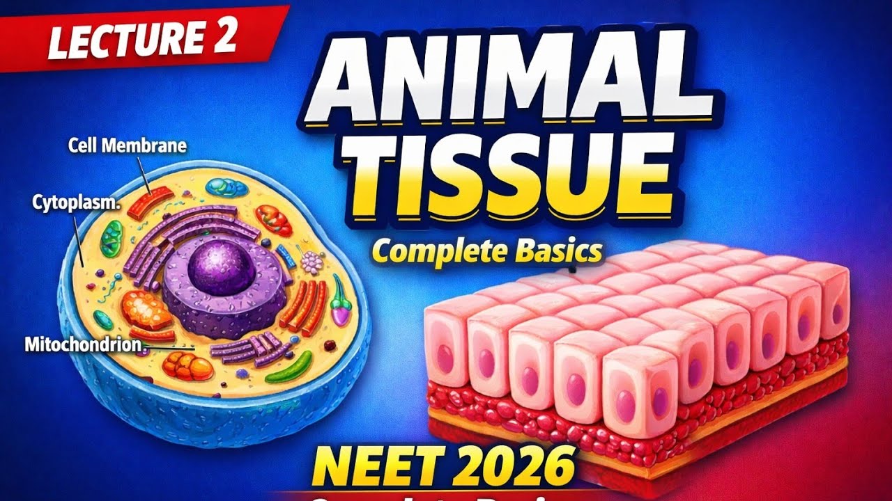 Animal tissue –  Glands | Lecture 2| NEET Biology🔥