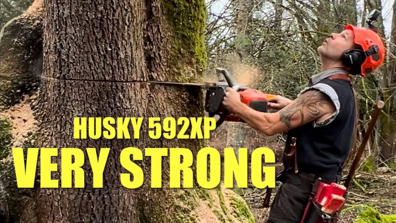 Husqvarna 592 XP, Тяжелая пила