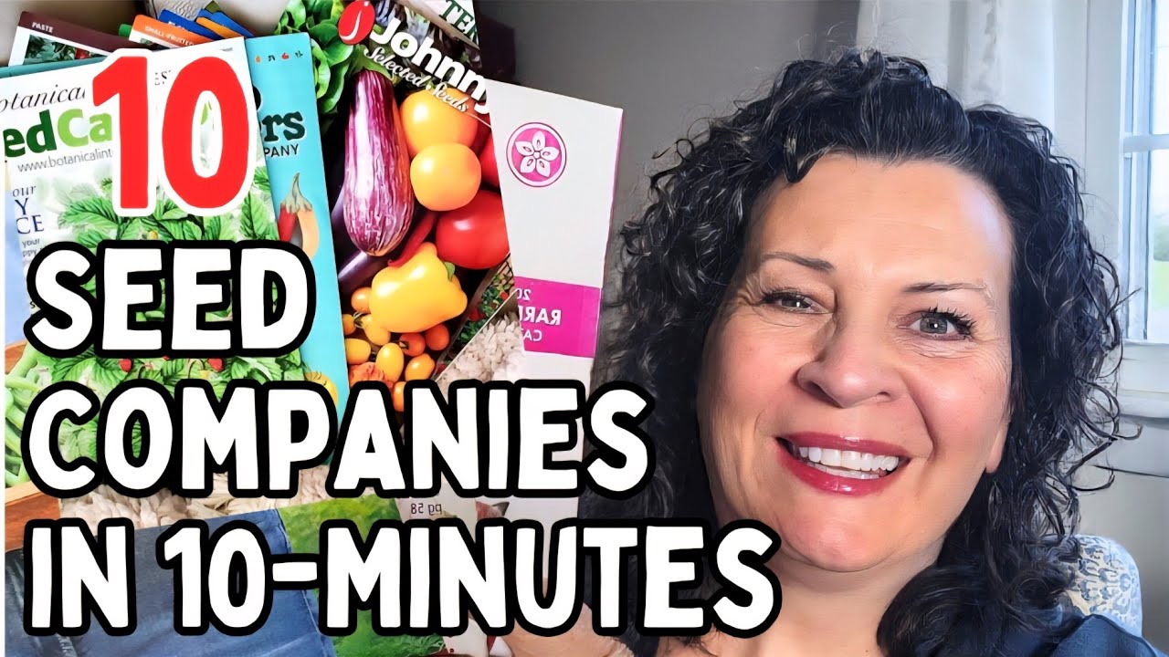 The Best Seed Companies to Buy From NOW & Why I'm Ordering Early!  -- BONUS Mini Seed Haul Unboxing
