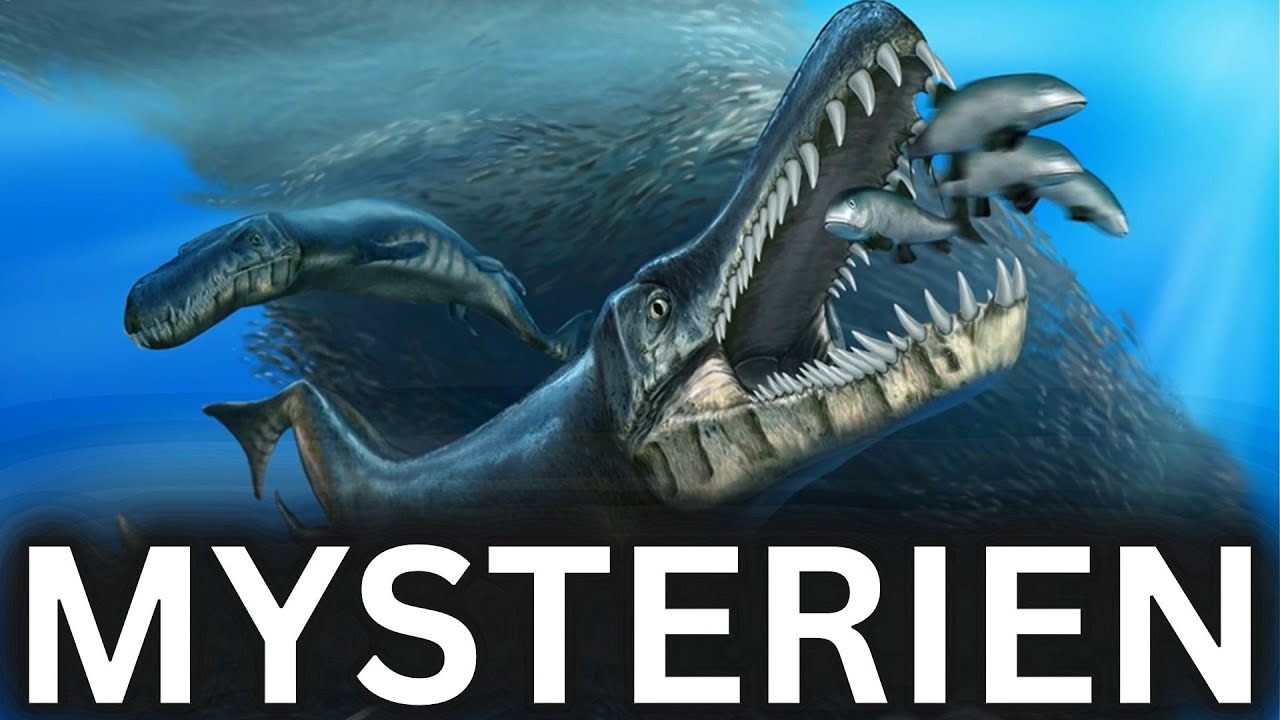 Die Verrücktesten Krokodile ALLER ZEITEN🐊