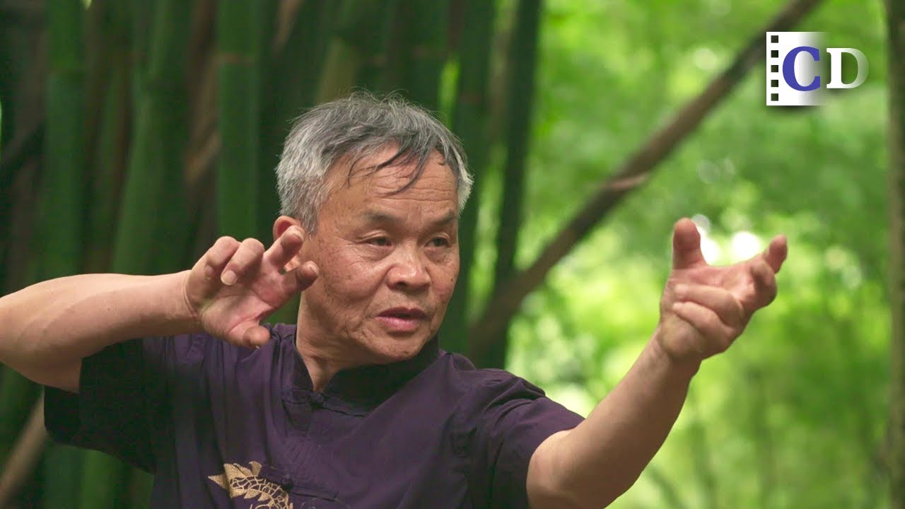 Emei Sword Fist - Full Strength Gathered on Sharp Fingers | Kung Fu