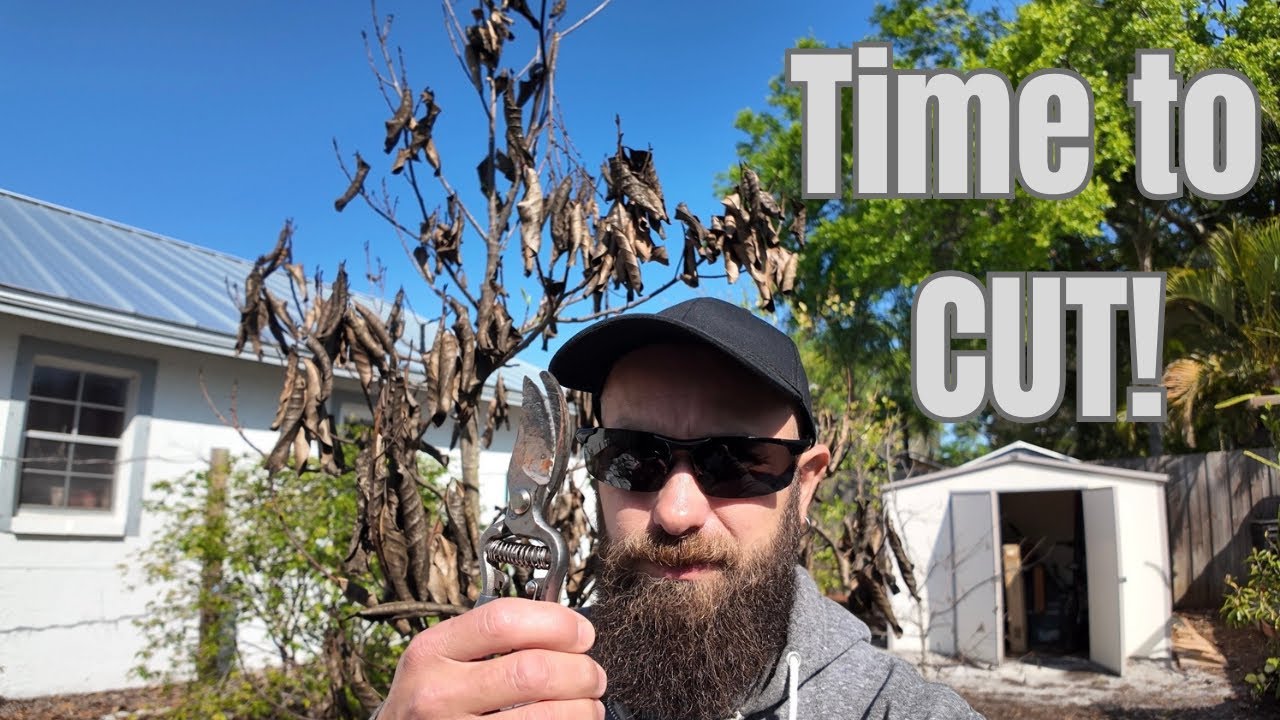 Time to cut the dead wood ☠️