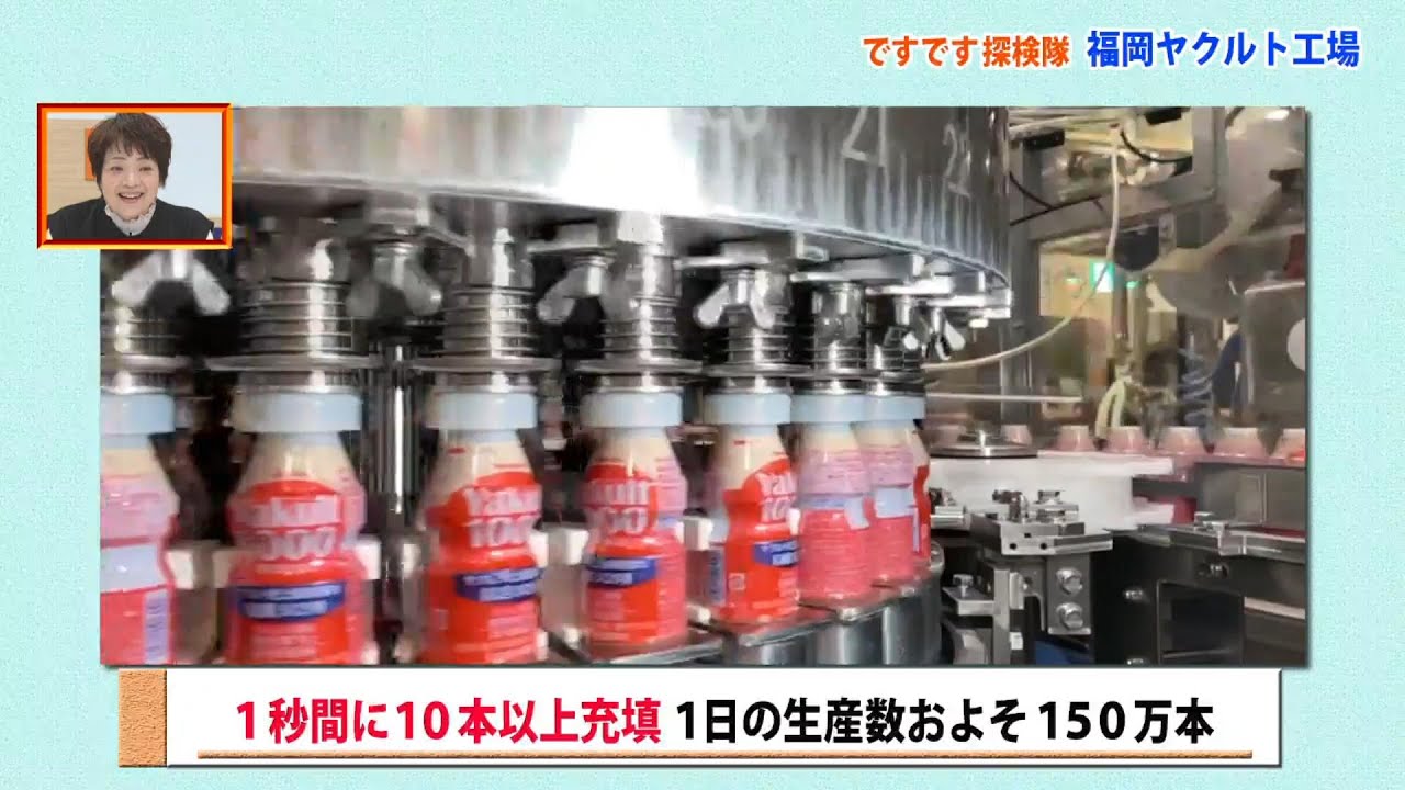 【ヤクルト工場に潜入!!】毎日4000万本飲まれている！？飲むとストレス緩和や睡眠の質向上が期待できる！ヤクルトのヒミツに迫ります！ ですです。探検隊 (12月13日(金)放送)